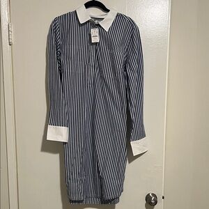 J. Crew Navy and White Striped Shirt